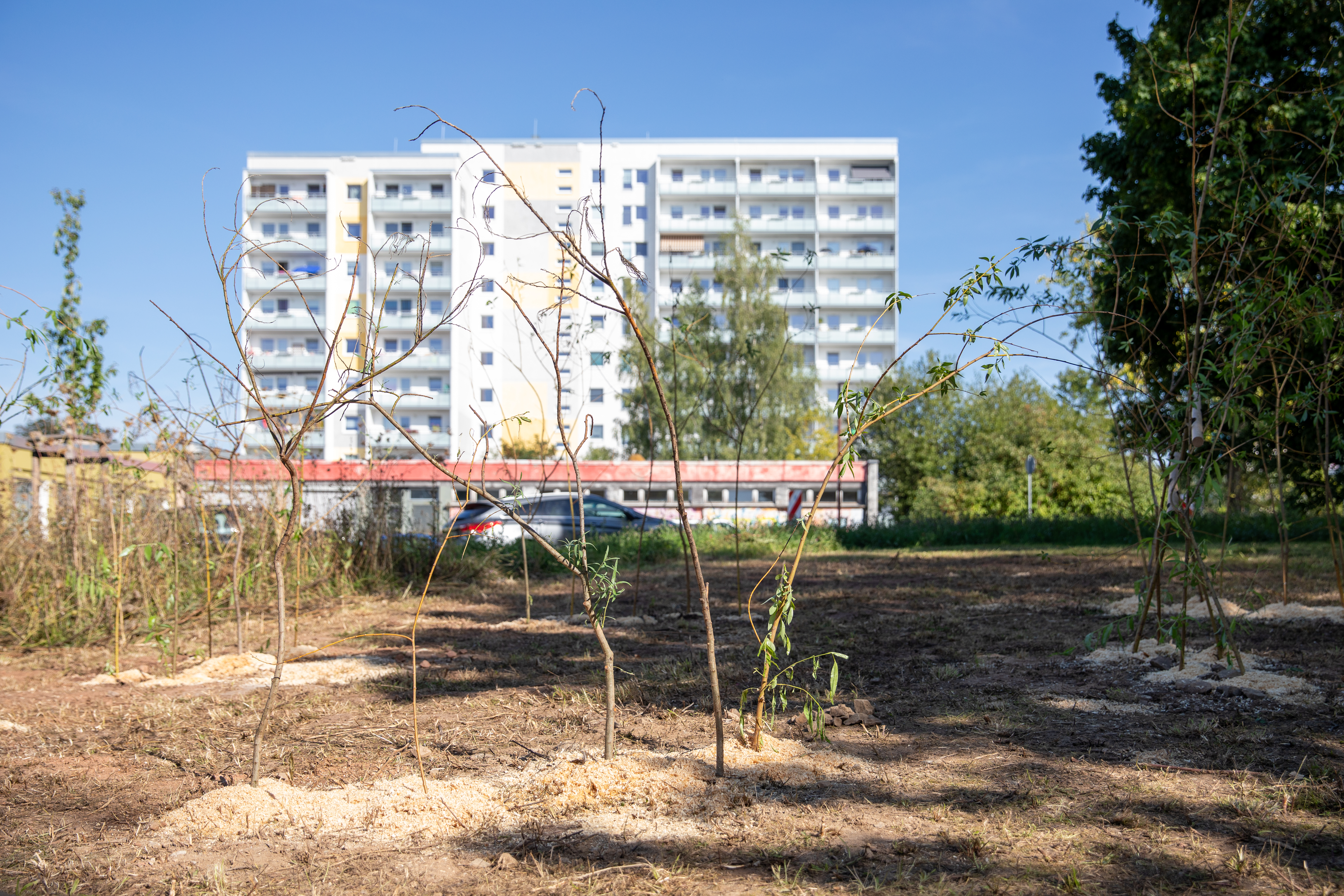 Unter dem Motto "Alle Plätze sind Spielplätze" sollten bei der Apfelbaumparade Orte der Begegnung geschaffen werden.  