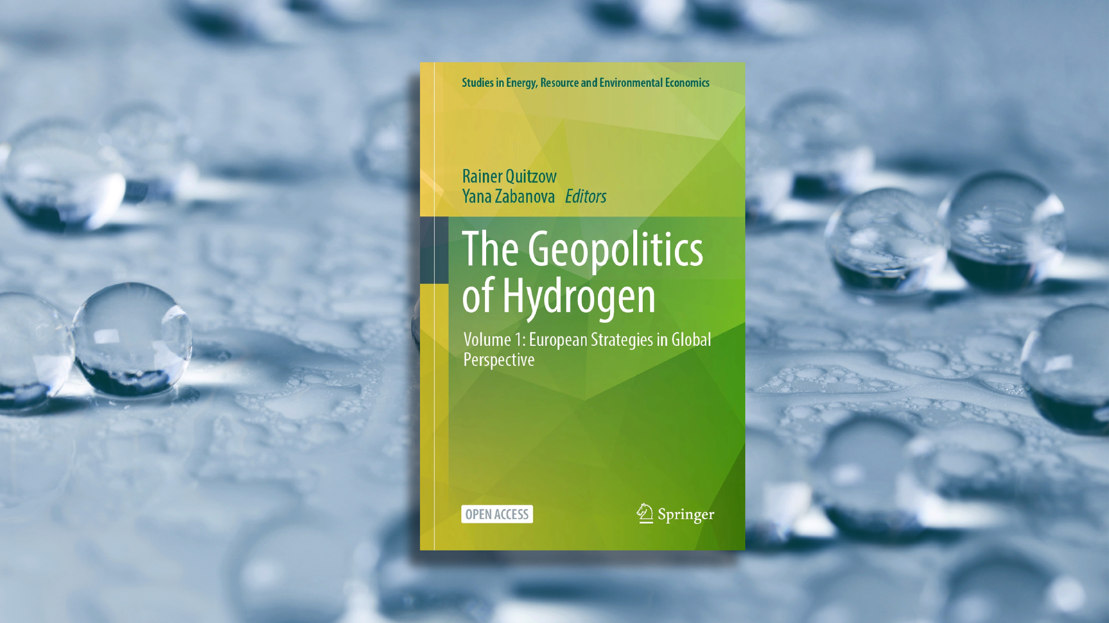 Geopolitics of hydrogen Buch