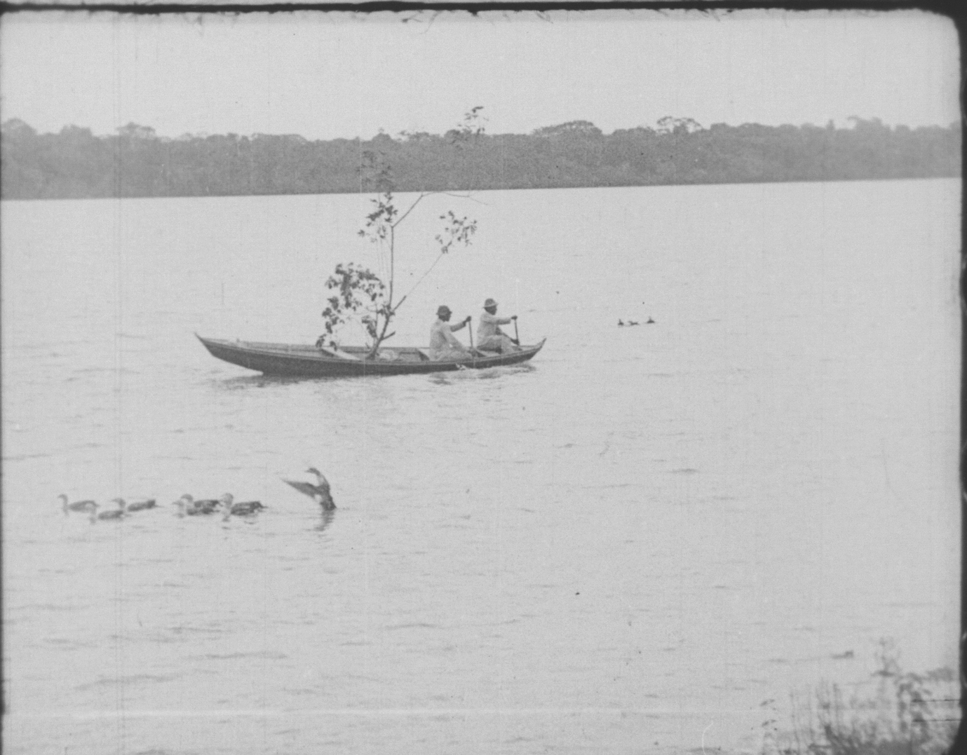Amazonas - o maior Rio do Mundo