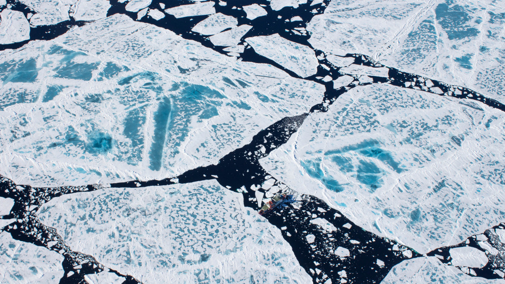 Climate change is altering the Arctic faster than any other global region.