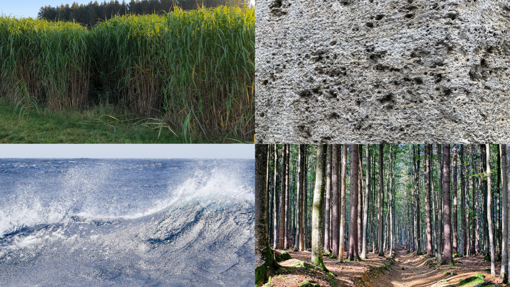 Terrestrial, geologic, materials-based, and marine approaches to CO2 removal and storage need to be comprehensively and comparatively evaluated. 