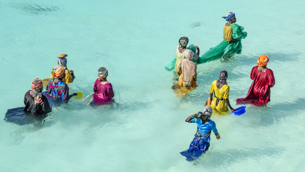 Sansibar, Tansania: Frauen fischen im flachen Wasser.