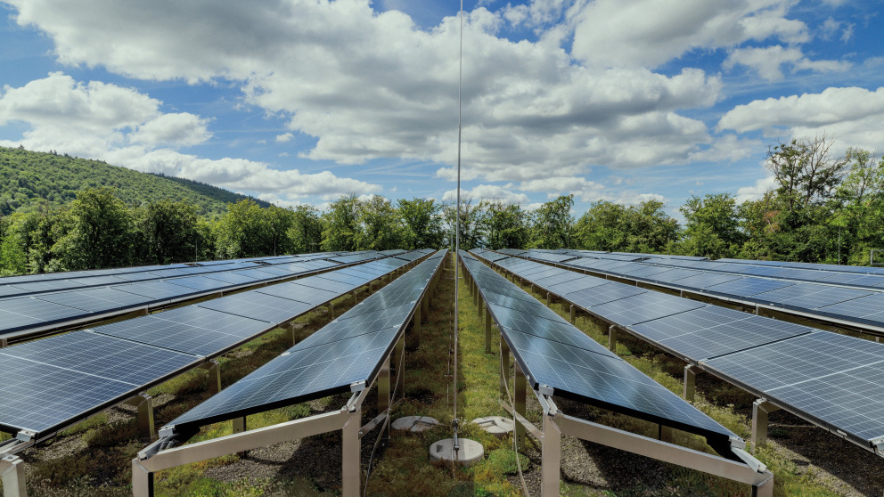 Solar panels installed over a green roof system.