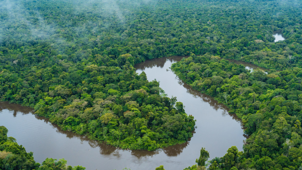 Der Amazonas