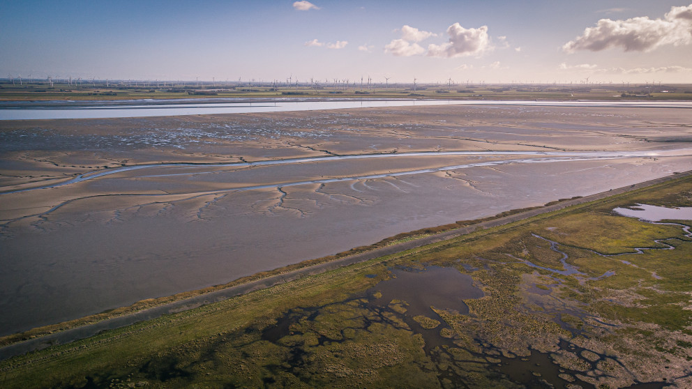 Sediment of coastal ecosystems such as the Wadden Sea in Lower Saxony can store significant amounts of carbon from the atmosphere.
