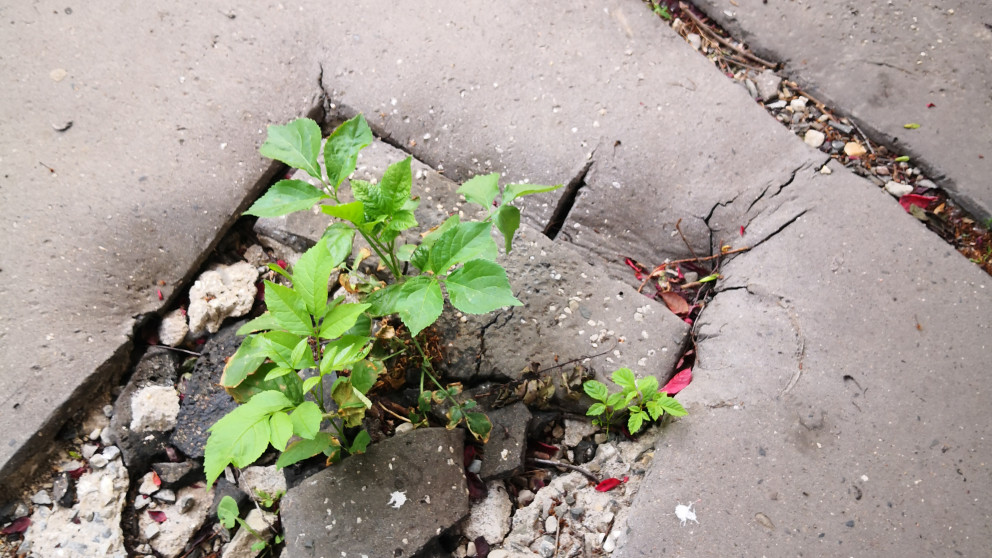 What kind of future are we trying to create, and for whom?