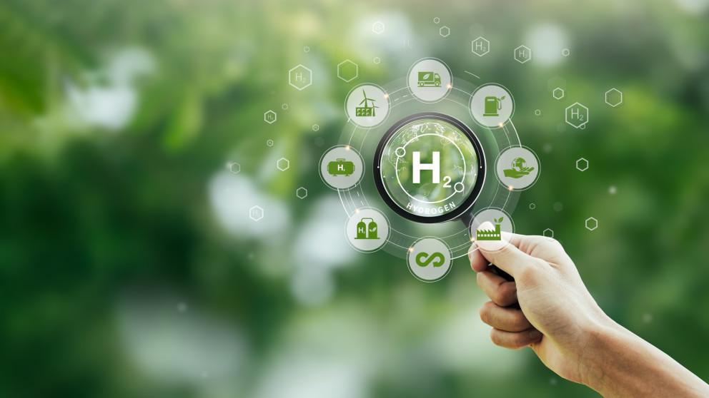 Governance for a Sustainable Hydrogen Economy