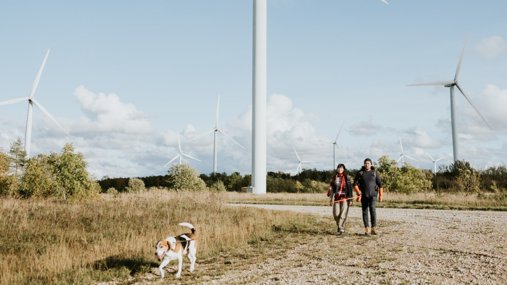 Finanzielle Beteiligung kann ein wichtiger Hebel für die lokale Energiewende sein. Dabei helfen klare Regeln. 