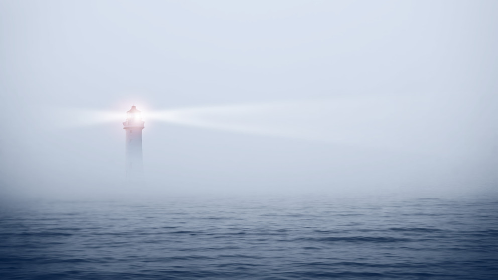 A more coherent European marine policy contributes to the implementation of the Green Deal.