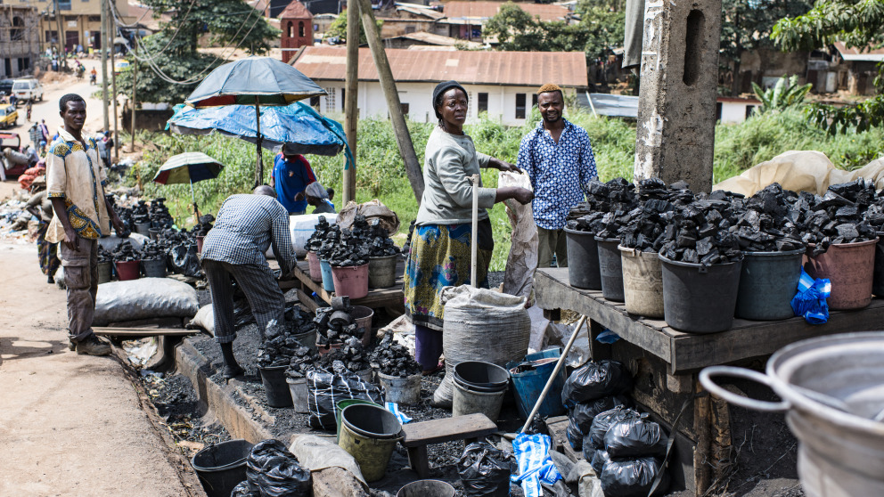 Much of the coal sold by these traders at a market in Yaoundé, the capital of Cameroon, will be used in cookstoves. Many developing countries lack adequate access to technologies that play a vital role in the energy transition.