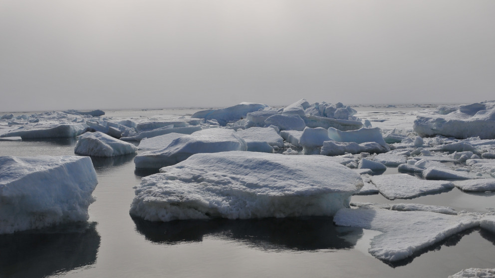 Climate change and economic activities are having adverse effects on the Arctic.