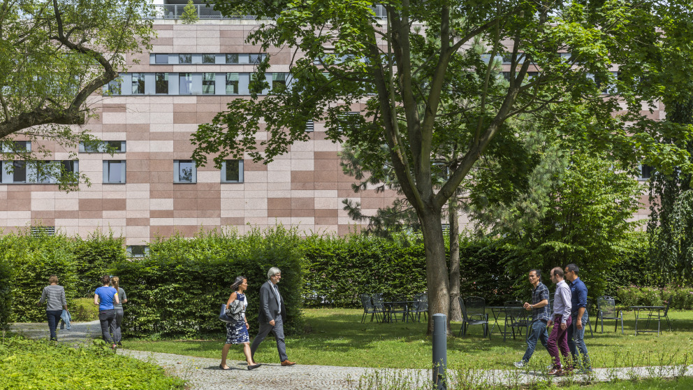 Die Fellows entwickeln ihre Ideen im Austausch mit Forscherinnen und Forschern am IASS sowie in der Region Potsdam-Berlin.