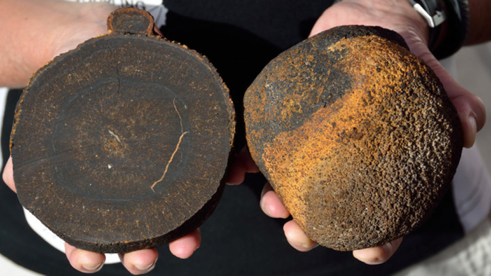It takes at least 10 million years for manganese nodules to form. Deep seabed mining could cause irreparable harm to ecosystems, with unknown consequences for ocean health.