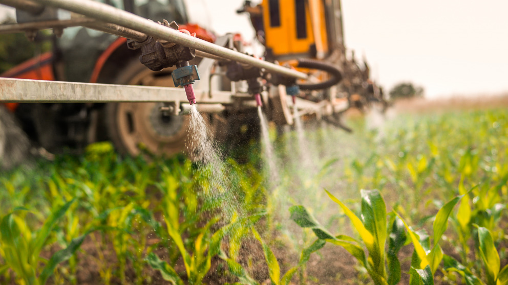 What risks does the use of pesticides present?