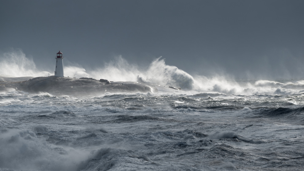 Marine habitats are threatened because the various demands of interest groups are difficult to control.