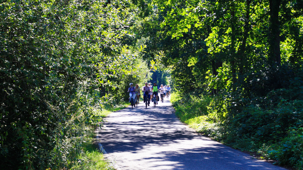 Wide, well-kept, flanked by greenery: An ideal bicycle lane looks something like this.