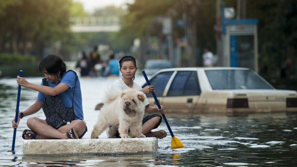 In Thailand wurden im Sommer 2011 durch einen ungewöhnlich lange anhaltenden Monsun massive Überschwemmungen verursacht. © istock/gdagys In Thailand wurden im Sommer 2011 durch einen ungewöhnlich lange anhaltenden Monsun massive Überschwemmungen verursacht. © istock/gdagys