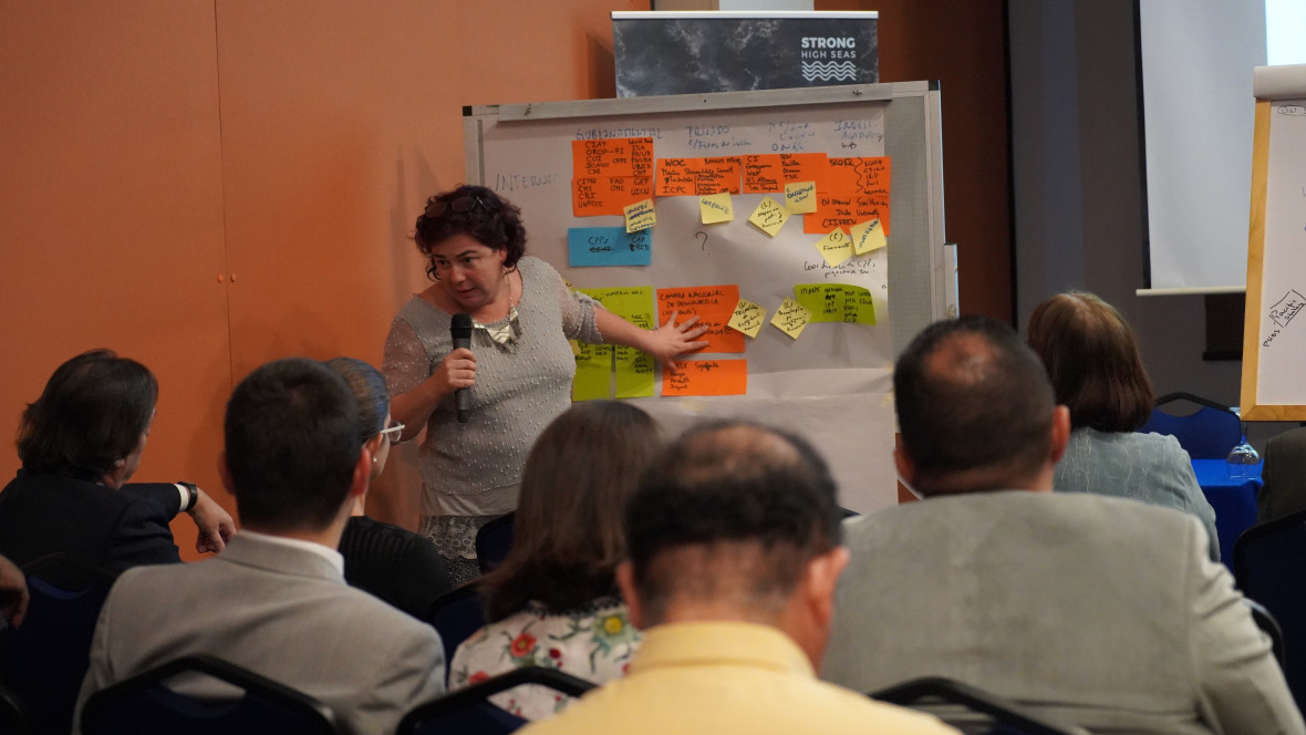 Experts discuss the challenges for future global and regional marine policy at a workshop hosted by the research project in Cali, Colombia. 