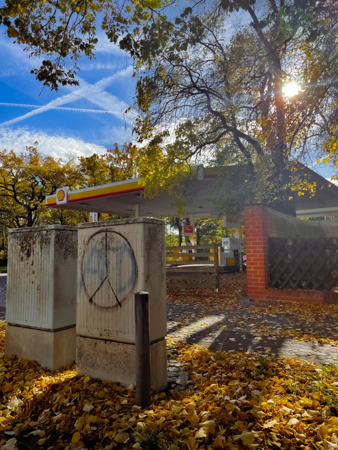 Shell im Herbst, Berlin-Zehlendorf, 2022.