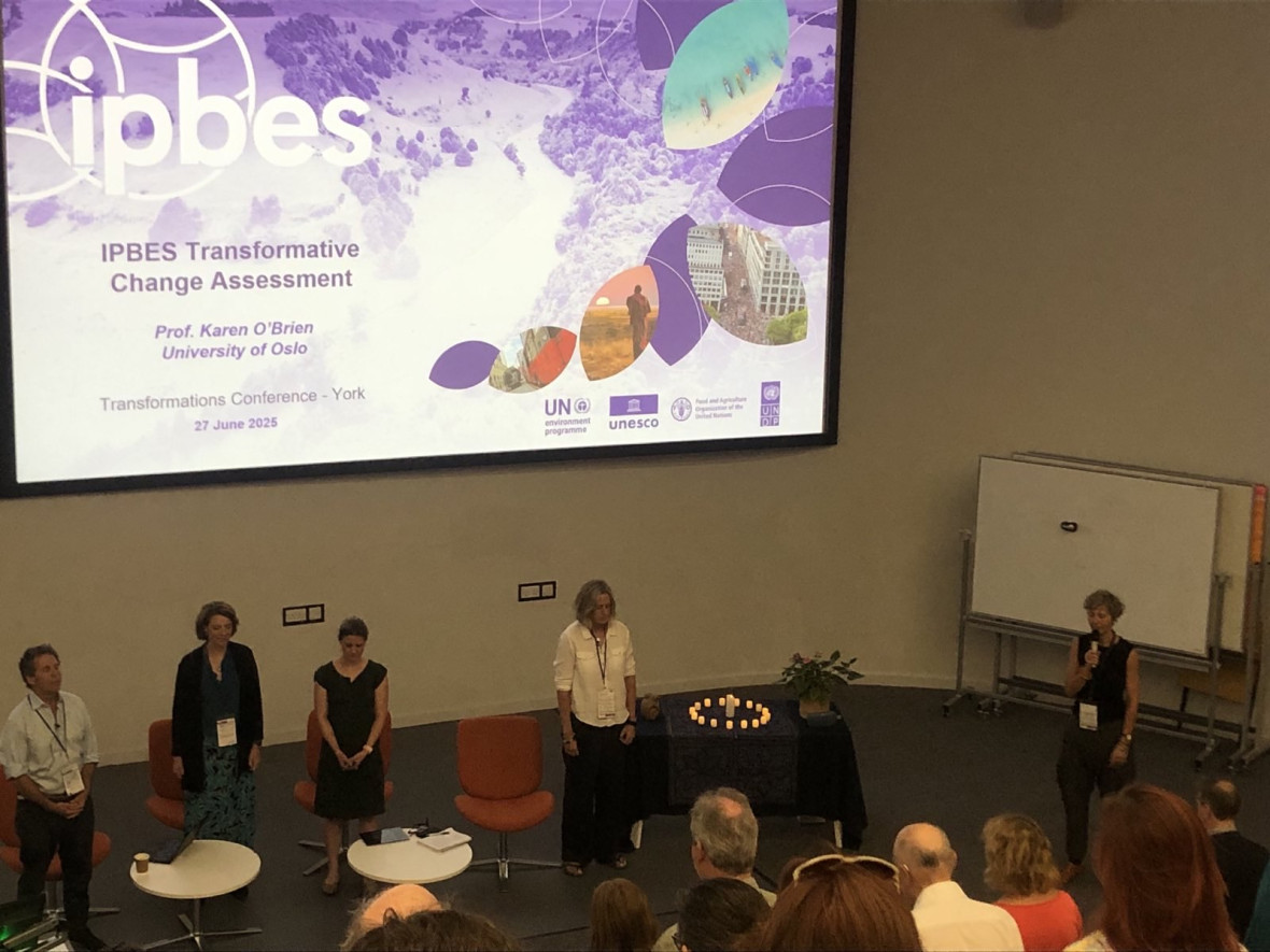 The Transformative Change Assessment discussed in York offers a framework for responding to biodiversity loss and systemic unsustainability.