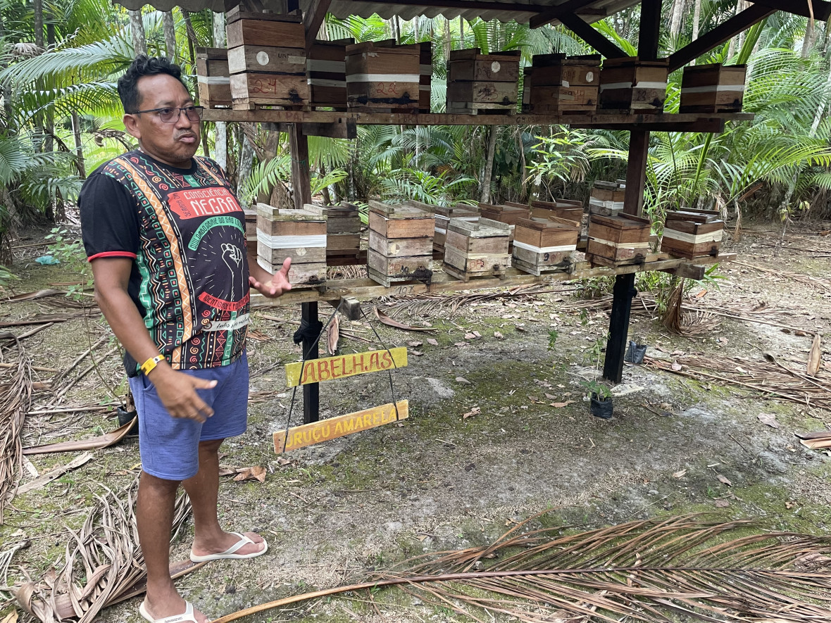 The initiative promotes beekeeping to stimulate pollination and protect the territory, linking ecological restoration to the defence of traditional lands. 