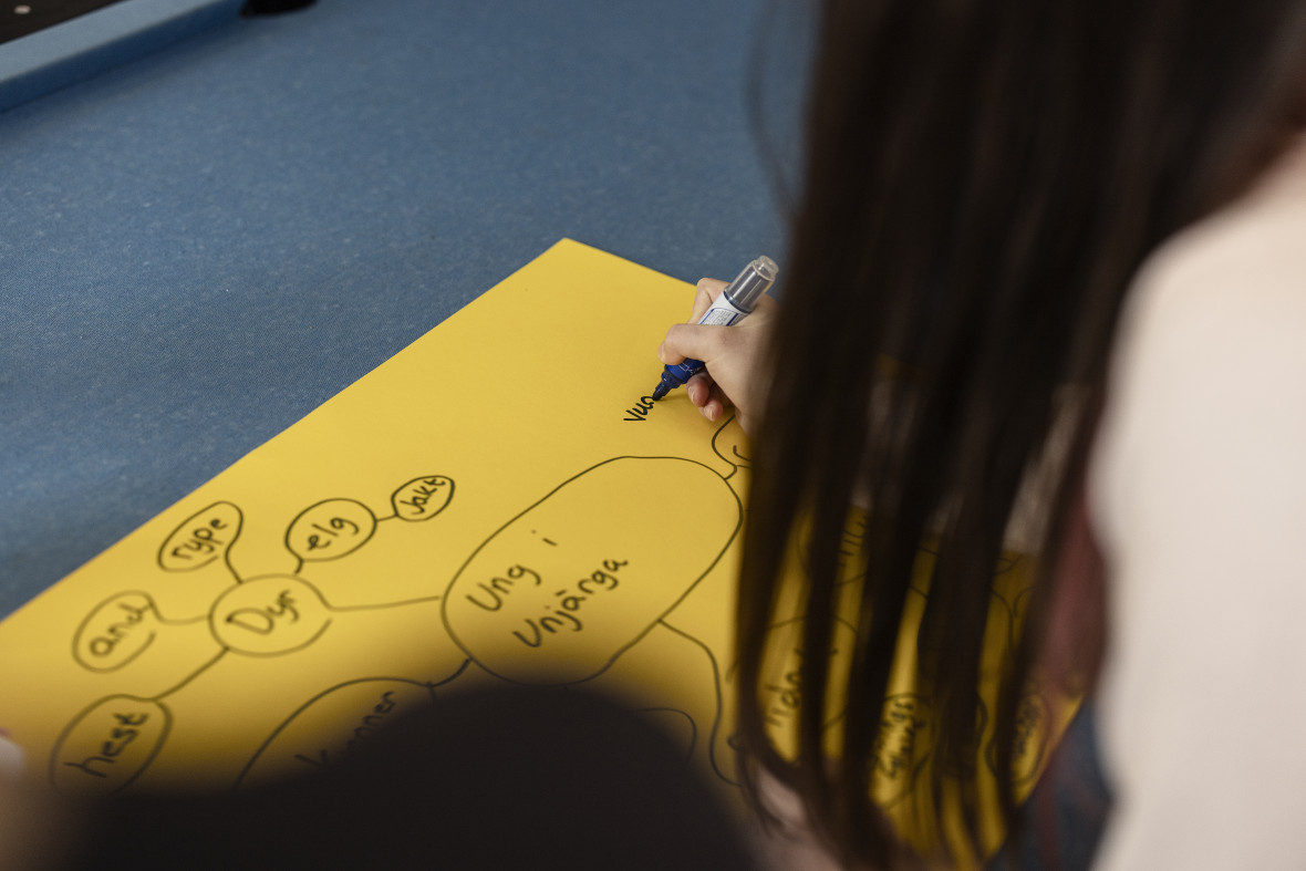 BIRGEJUPMI creates spaces for young people in Sápmi to explore how climate change mitigation measures affect everyday life and how this relates to their visions for the future.