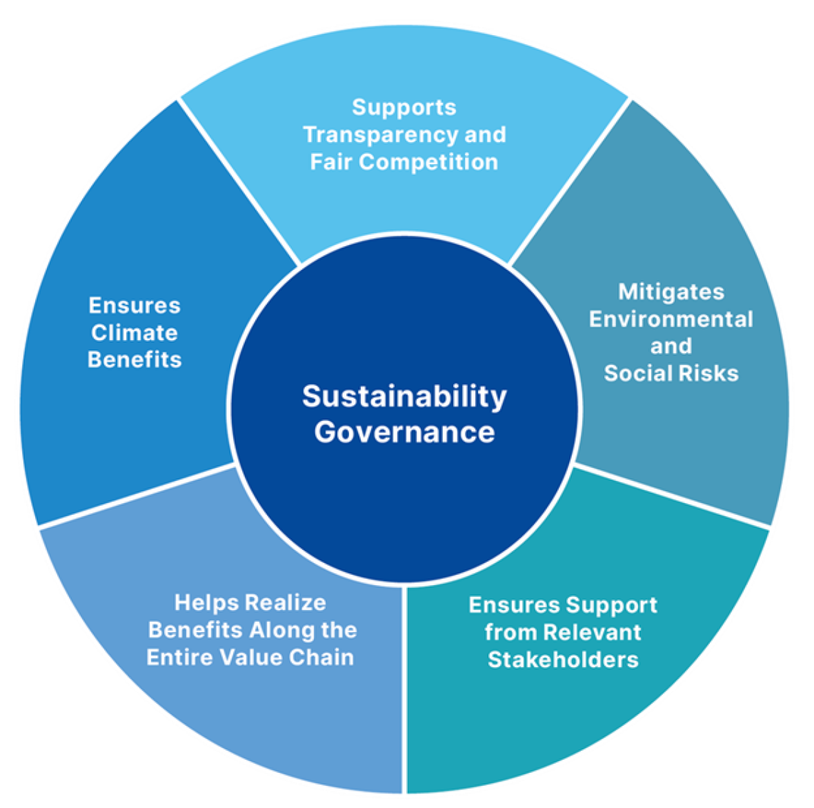 Sustainability governance for hydrogen