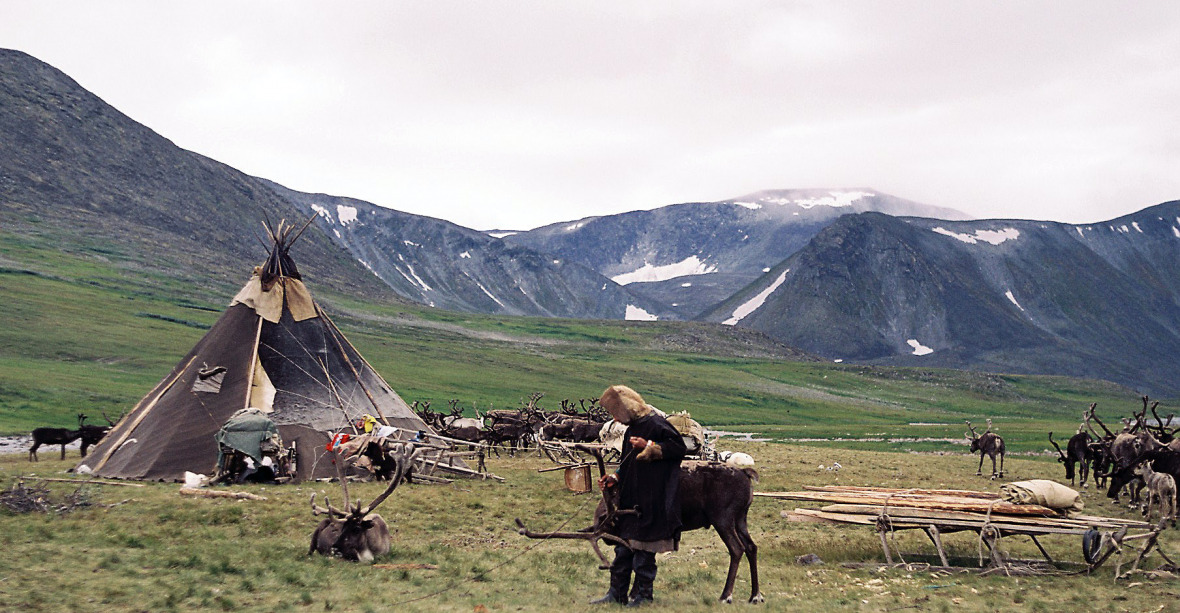 Environmental damage is endangering the Nenets way of life.