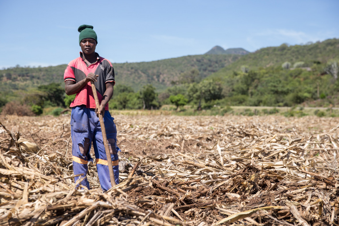 Zimbabwe_Landwirt_Copyright_Ashraf_Hendricks_GroundUp/ CC-Lizenz