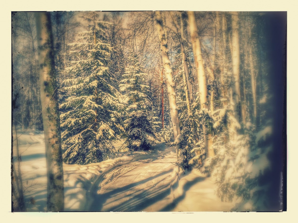 fairbanks Schneelandschaft in Fairbanks, Alaska © Carolina Cavazos Guerra