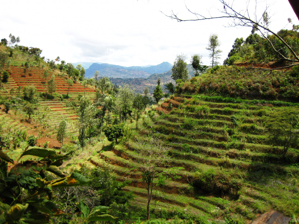 Terrassen wie hier in der Forschungsregion Lushoto in Tansania sind eine Form des nachhaltigen Landmanagements. © Judith Rosendahl