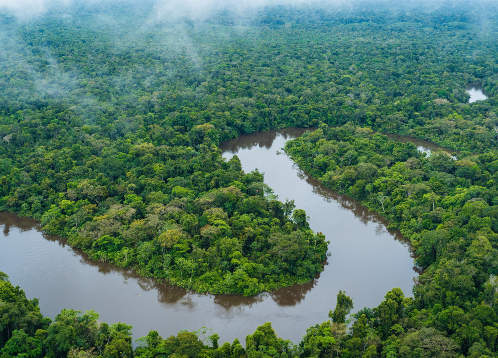 Der Amazonas