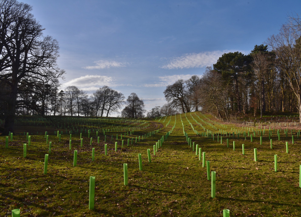 Agroforestry is a land management approach that combines livestock and crop farming with forestry.