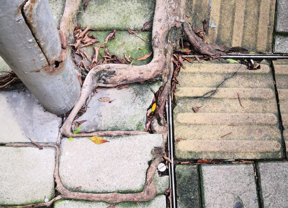 We need to think of sustainability as a way of being in the world, a mindset embedded in how we collectively design cities, economies, institutions, and social relations.