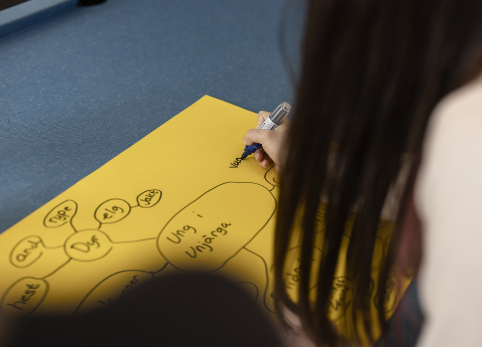 BIRGEJUPMI creates spaces for young people in Sápmi to explore how climate change mitigation measures affect everyday life and how this relates to their visions for the future.