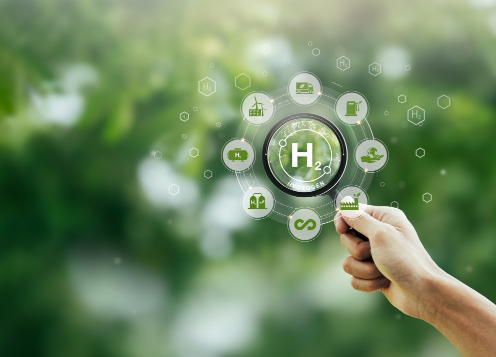 Eine effektive Regulierung ist entscheidend, um die Vorteile von grünem Wasserstoff sowohl für Import- als auch für Exportländer zu nutzen.