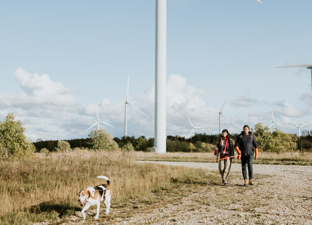 Finanzielle Beteiligung kann ein wichtiger Hebel für die lokale Energiewende sein. Dabei helfen klare Regeln. 
