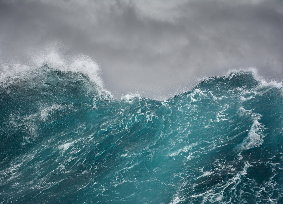 The loss of marine biodiversity is weakening the ocean ecosystem. A new UN treaty may help to protect it.
