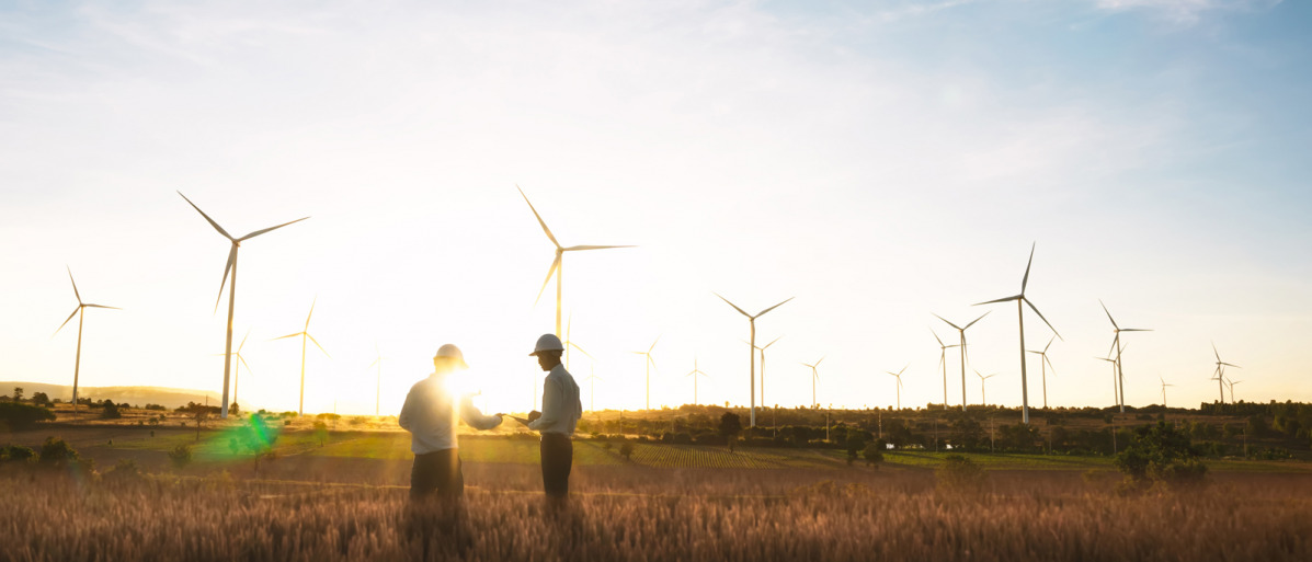 Ending Subsidies Slows the Growth of Wind and Solar Power | Research ...
