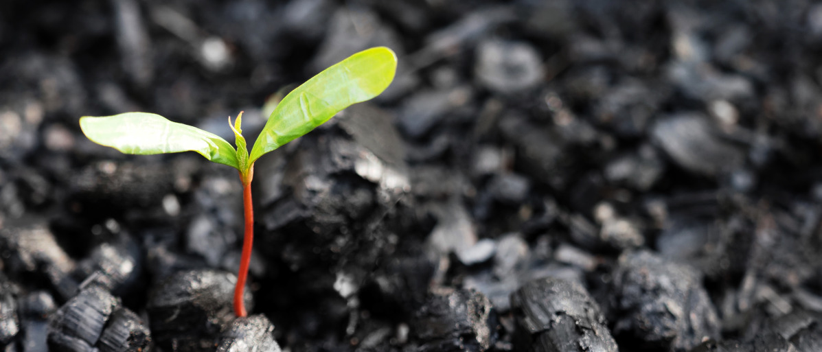 Deep emissions reductions can only be achieved by moving away from fossil fuels.