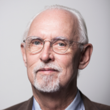 Prof. Dr. Roeland J. In't Veld