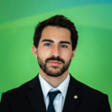 Bruno Naredo Guastavino