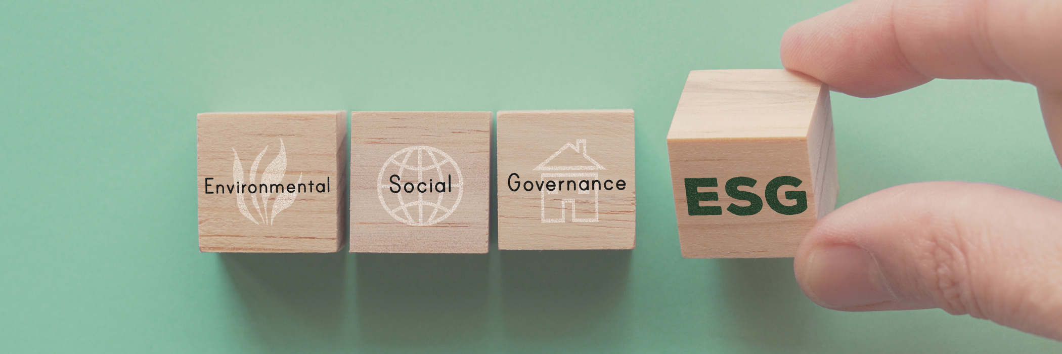 Environmental, Social and Governance (ESG)