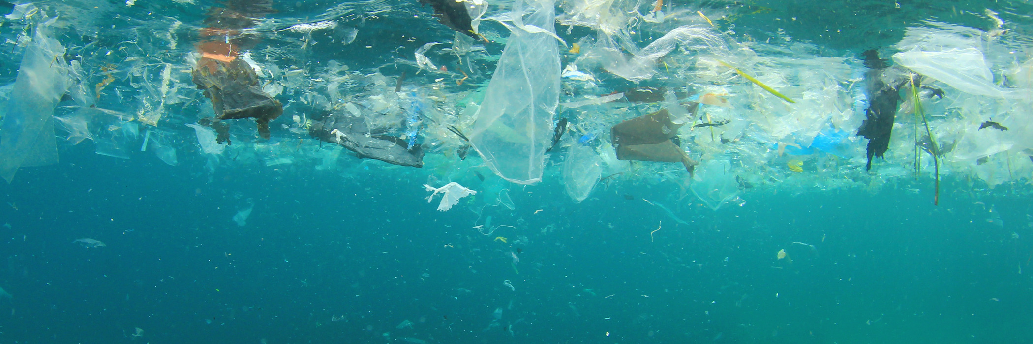 The ocean is full of plastic waste.