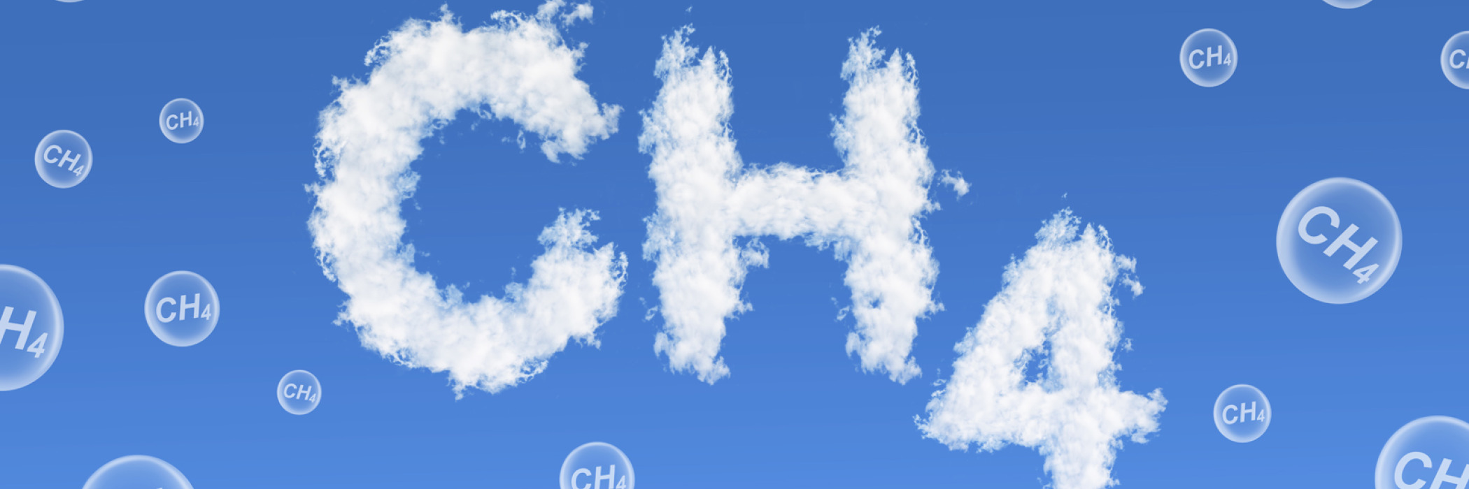 Die Methan-Konzentration in der Atmosphäre steigt seit Jahren kontinuierlich an. 