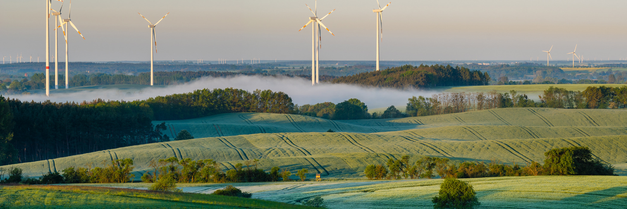 Felder, Wälder, Windräder: eine Landschaft in Brandenburg. 