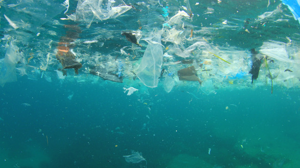 The ocean is full of plastic waste.