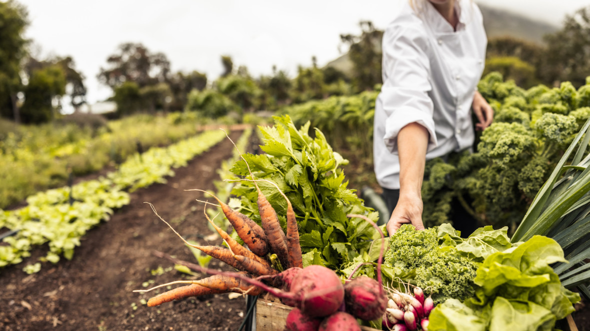 More and more people have the desire for regionally produced, socio-ecologically sustainable food.