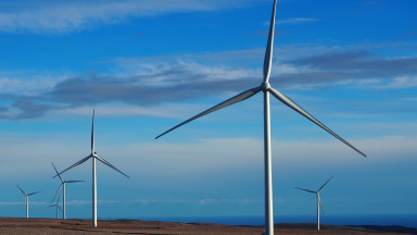 A wind farm in the Far North