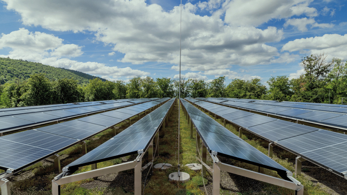 Eine Solaranlage auf einem Gründach. 